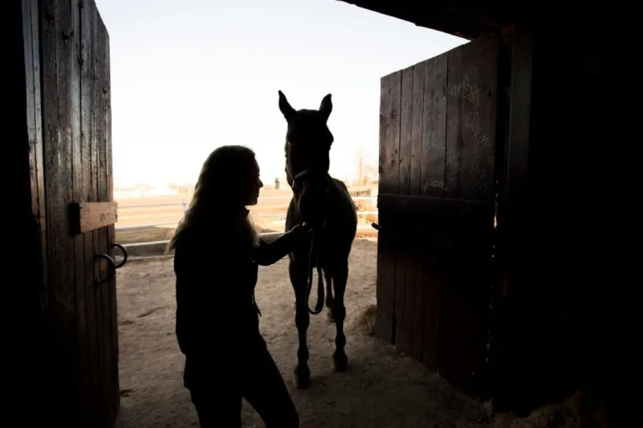 Building trust with your horse