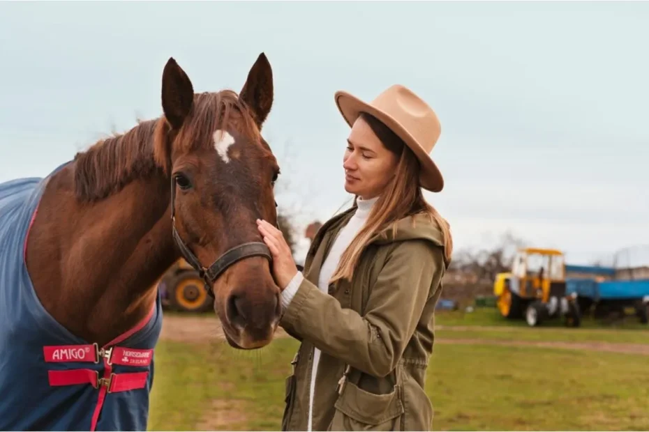 Choosing the Right Horse Trailer