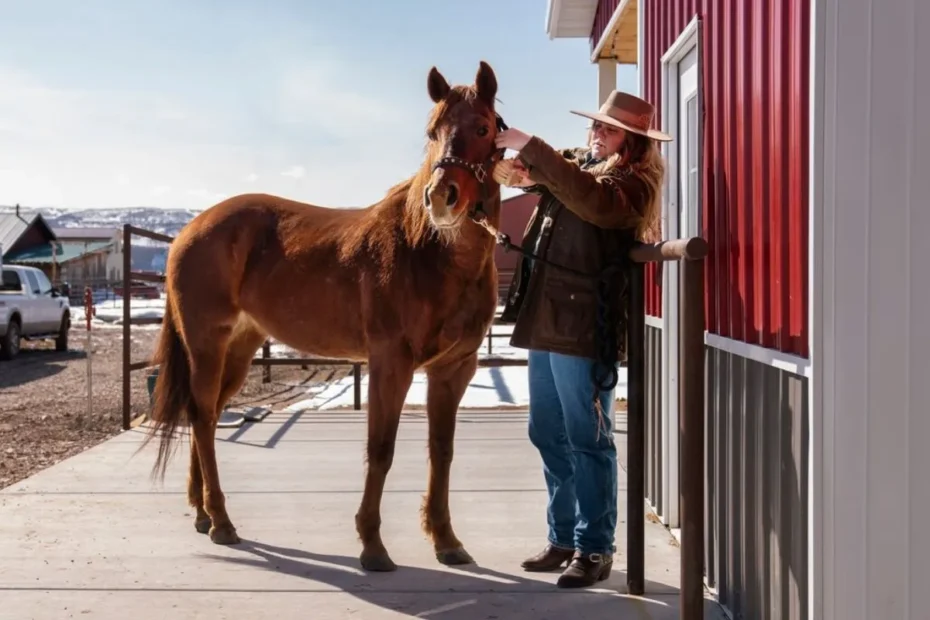 Climate control in horse trailers