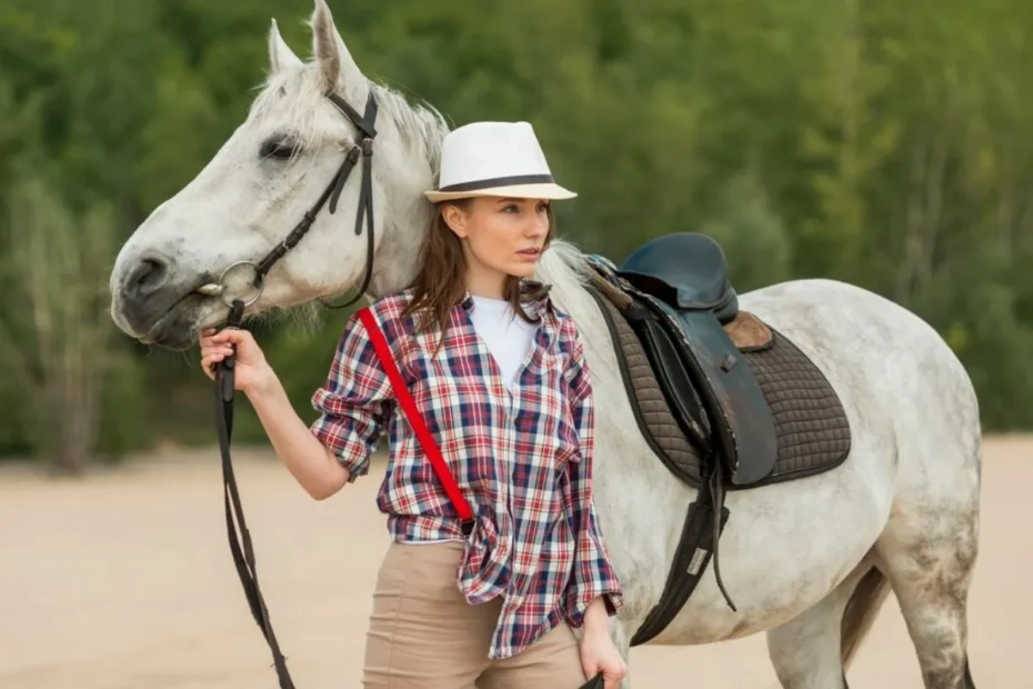 equine-travel-accessories