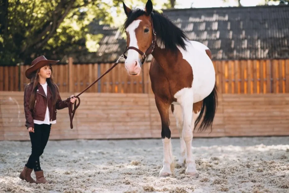 Grain-Free Diets for Horses