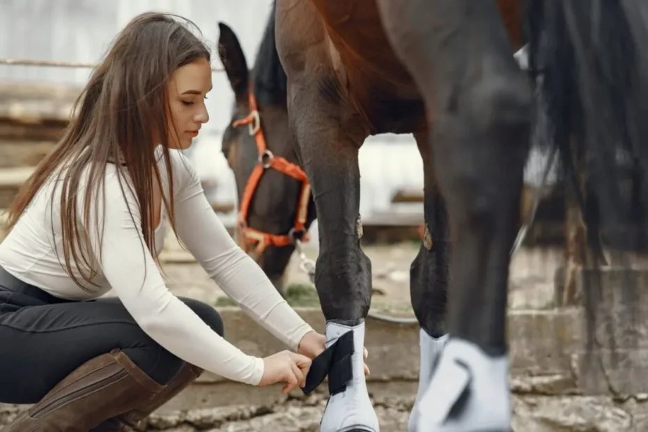 High-Fiber Diets for Horses