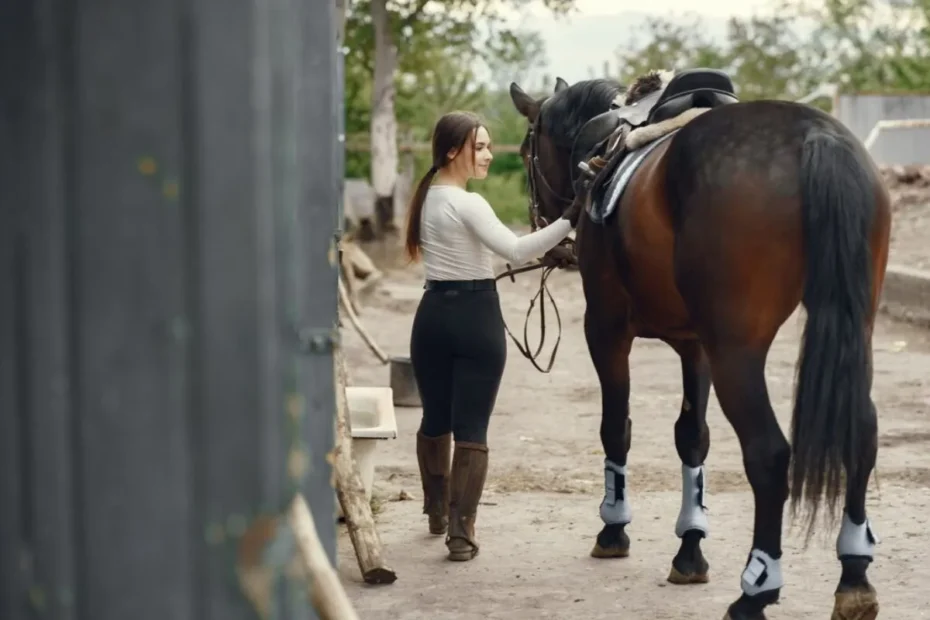 International Equine Transport Regulations