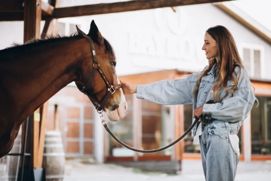 Selecting Professional Horse Transport Services