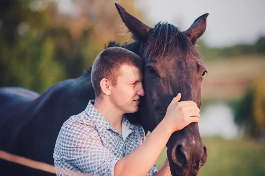 Techniques for Calming Anxious Horses