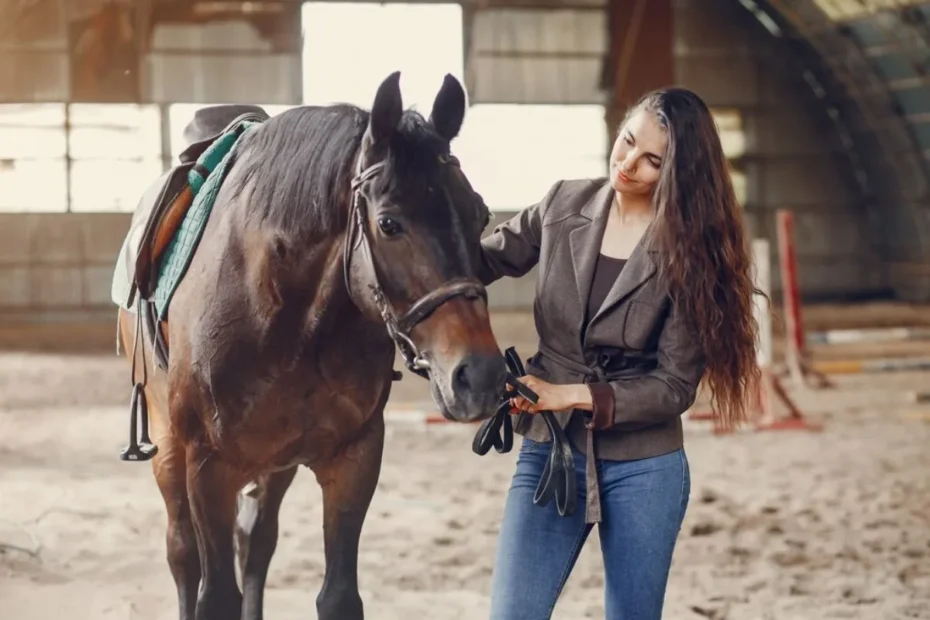 The Role of Positive Reinforcement in Equine Training