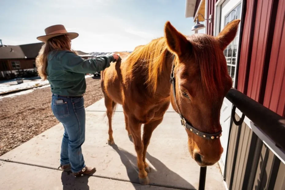 Training Horses for Safe Loading and Unloading